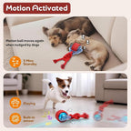 Dog Toys Interactive Rolling Ball with Rope, Motion-Activated | Squeaker dog ball Zig-Zag moving and rolling rechargeable dog ball release pressure dog exercise perfect for small puppies