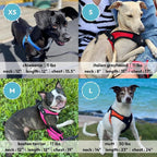 Gooby - Escape Free Easy Fit Harness, Small Dog Step-in Harness for Dogs that Like to Escape Their Harness, Turquoise, Small