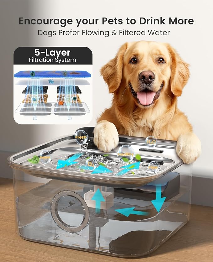 oneisall 10L/2.6Gal Dog Water Fountain for Large Dogs (with 5 Filters) | Deeper & Wider Drinking Area, Visualization Water Window & Triple Filtration,304 Stainless Steel