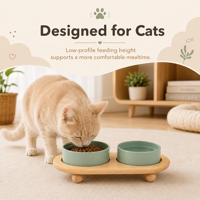 Havniva Raised Cat Bowl 5.1” Elevated Ceramic Cat Food and Water Bowl Set | Cat Bowls Elevated, Whisker Friendly Cat Bowl, Non-Slip Wood Stand, Food-Grade Ceramic, Wide Opening, Dishwasher Safe