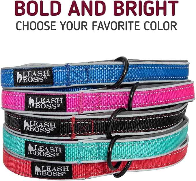 Leashboss 6ft Ultra Comfort Double-Thick Soft Padded Handle Reflective Leash for Large, Medium, and Small Dogs/Puppies | Heavy Duty Nylon