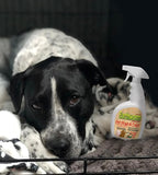 Earthworm Pet Stain Remover & Odor Eliminator - Urine Eliminator Natural Enzyme Formula, Fragrance Free Spray - 22 oz
