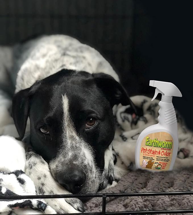 Earthworm Pet Stain Remover & Odor Eliminator - Urine Eliminator Natural Enzyme Formula, Fragrance Free Spray - 22 oz