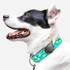 Elevation Lab AirTag Dog Collar Holder - Waterproof (4 Pack) | Secure, Durable, Fits Any Collar Width, Doesn't Dangle, Comfortable