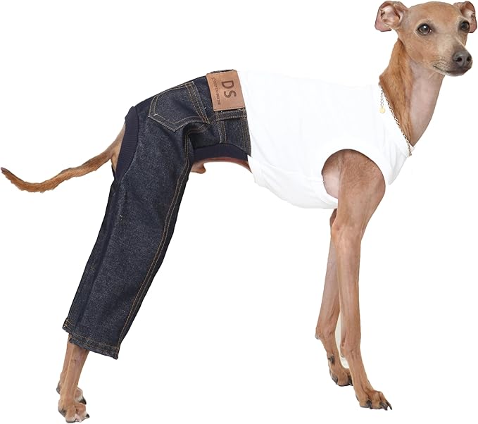 D Doggy Star Italian Greyhound Clothes Sleeveless Jeans Onesie Outfit Whippet for Dog Coat (S,Blue Jean)