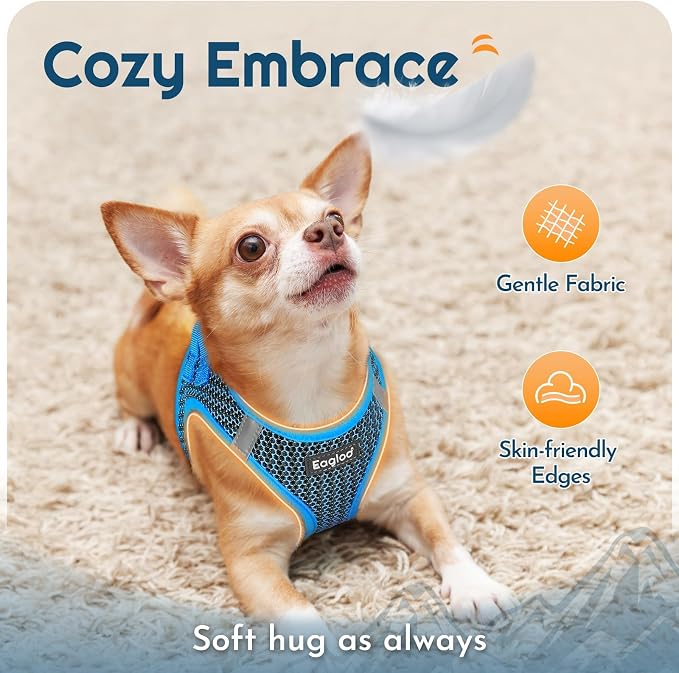 Eagloo Small Dog Harness and Leash Set, Step in Small Sized Puppy Pet Vest | Light, Soft, Breathable Air Mesh, Easy on and off with Hook & Loop, Reflective for Safe Walking, Blue, XS