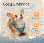 Eagloo Small Dog Harness and Leash Set, Step in Small Sized Puppy Pet Vest | Light, Soft, Breathable Air Mesh, Easy on and off with Hook & Loop, Reflective for Safe Walking, Blue, XS