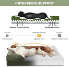 INVENHO Orthopedic Medium Dog Dogs, Egg-Crate Foam Dog Couch with Washable Removable Cover, Waterproof Lining and Nonskid Bottom