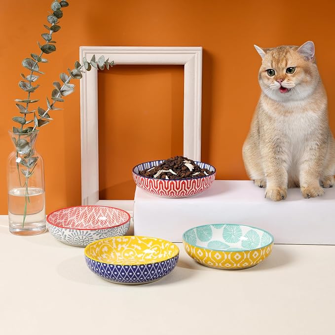 Selamica Ceramic Cat Food Bowl Set of 4, 5.6 Inch Wide Shallow Cat Bowls/Dishes for Food and Water, Assorted Colors