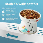 Necoichi Ceramic Raised Cat Food Bowl, Whisker-Friendly (Fuji, Large Flat)