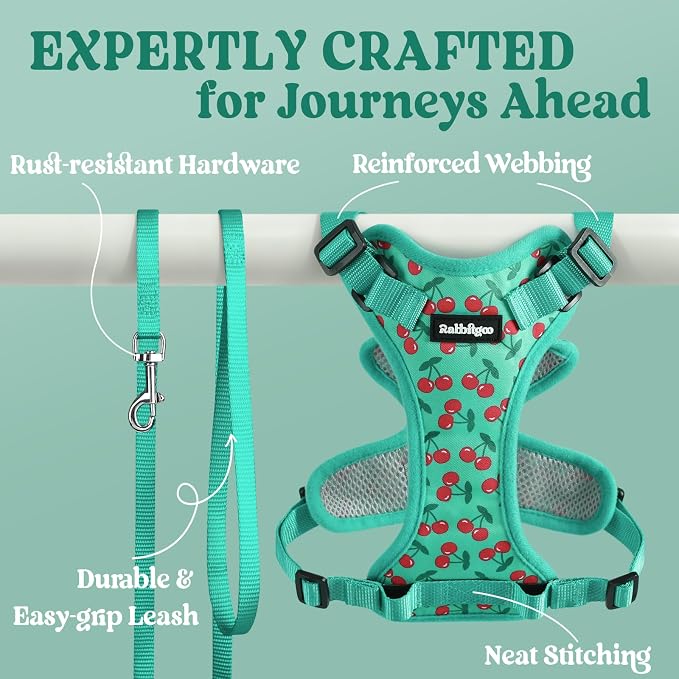 rabbitgoo Cat Harness and Leash Set, Escape Proof Vest, Cherry Grove | Soft Breathable Mesh, Easy Adjustable Fit, Snap Buckles, Sturdy Clip, Reflective Strips, for Kittens & Small Cats Walks, Xxs