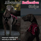 rabbitgoo Escape Proof Dog Harness for Large, No Pull with Lift Handle | No Escape, Full Soft Padded, Reflective Adjustable Vest, Leash Clip for Walking Hiking Training, Peach Pink, Large