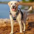 rabbitgoo Dog Harness, No Pull for Large Dogs with 2 Leash Clips, Pet Vest | No Choke with Handle, Adjustable Soft Padded, Reflective, Easy Control for Walking, Beige Plaid, X-Large