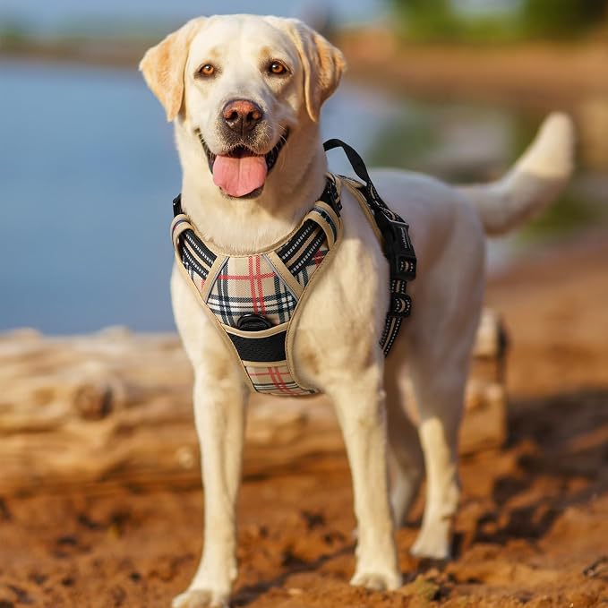 rabbitgoo Dog Harness, No Pull for Large Dogs with 2 Leash Clips, Pet Vest | No Choke with Handle, Adjustable Soft Padded, Reflective, Easy Control for Walking, Beige Plaid, Large