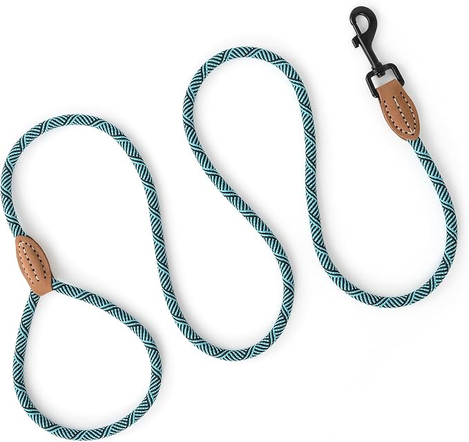 Mile High Life Thin Small Dog Leash with Genuine Leather Connection | Rope Leash, Heavy Duty 360° Swivel Metal Clasp, for Small Medium & Large Dogs (Green, 48 Inch)