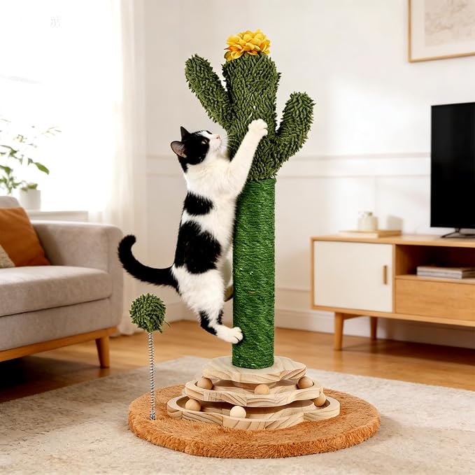 Cactus Cat Scratching Post Cat Tree, Cute Cat Scratching Post with Interactive Ball Two-Layer Track Spring Ball Toys, Standing Sisal Cactus Cat Scratcher for Indoor Cats and Kittens