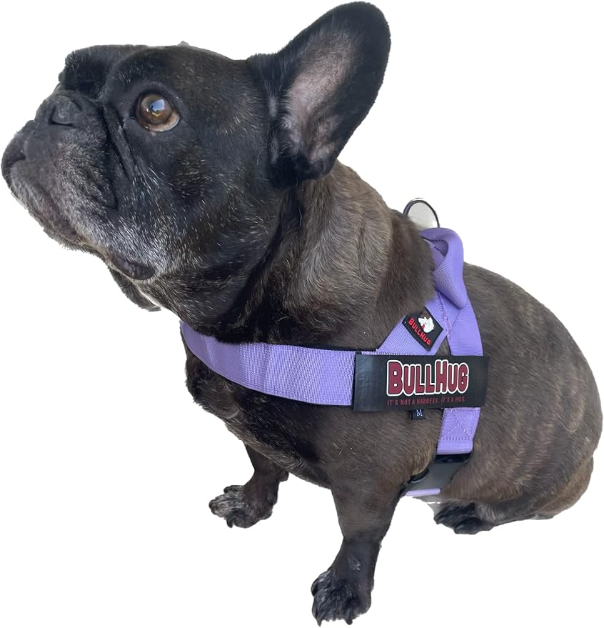BULLHUG Adjustable Dog Harness– No Pull, No Choke – for English Bulldogs, French Bulldogs, Pugs & Broad-Chested Breeds – Easy, Safe Walks (Purple, Small)