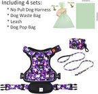 Petmolico No Pull Dog Harness Set,4 Leash Attchment Easy Control Handle Reflective Vest Dog Harness and Leash Set for Small Breed, with Poop Bag Holder,Small-Purple Dinosaur