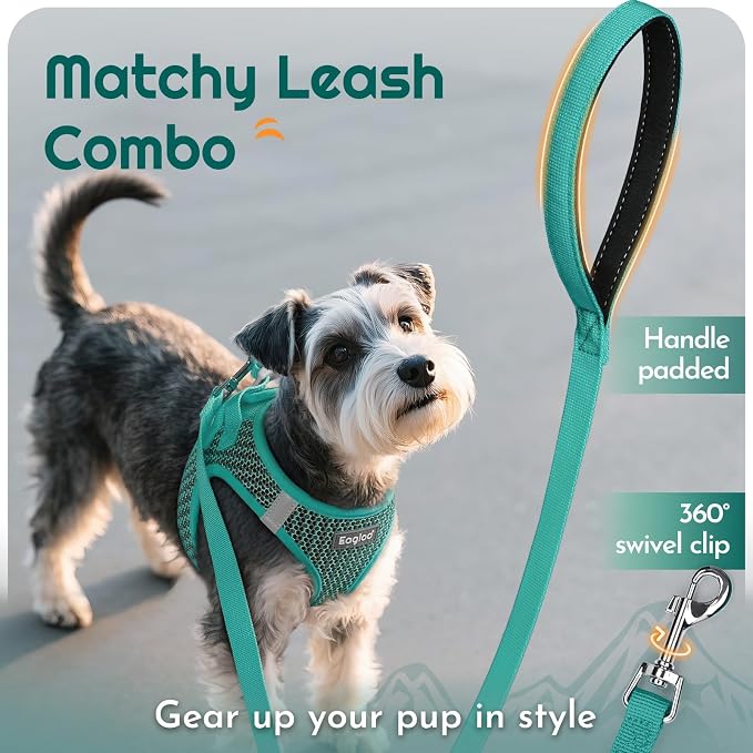Eagloo Small Dog Harness and Leash Set, Step in Medium Small Puppy Pet Vest | Light, Soft, Breathable Air Mesh, Easy on and off with Hook & Loop, Reflective for Safe Walking, Forest Green, L