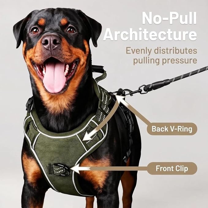 Service Dog Tactical Vest Harness and Leash Set Large Sized Dog Emotional Support- Tactical Dog Harness Training Collar with Name (Army Green, S)