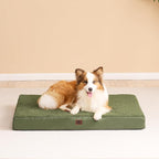 EHEYCIGA Orthopedic Dog Bed Medium with Removable Washable Cover,30x20 | Egg Crate Foam Support,Durable Oxford fabric,Non-Slip Bottom,Machine Washable,Soft Waterproof Plush Pet Bed Mat For Crate
