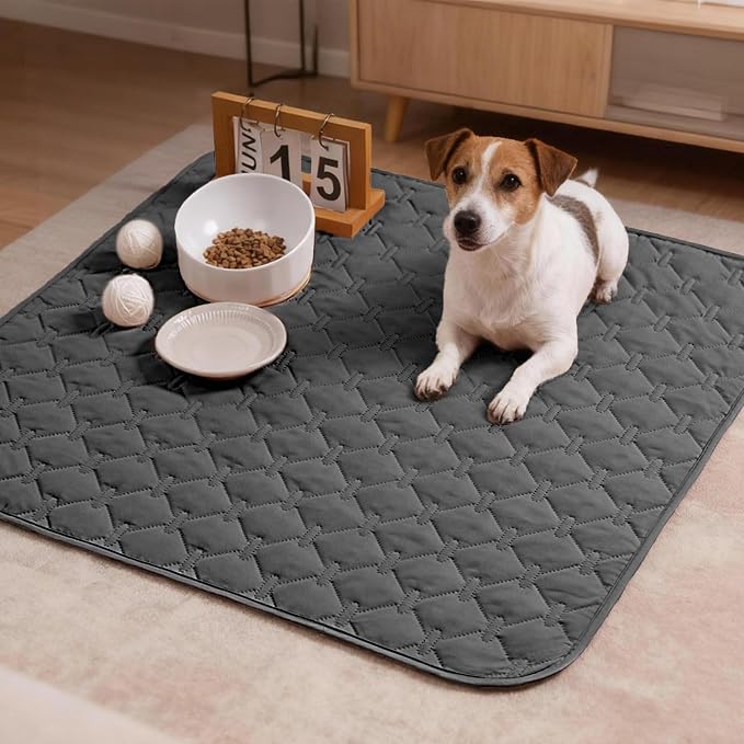 gogobunny 100% Double-Sided Waterproof Dog Bed Cover Pet Blanket Sofa Couch Furniture Protector for Puppy Large Dog Cat, Reversible (30x30 Inch (Pack of 1), Dark Grey/Light Grey)
