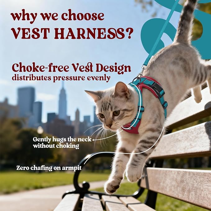 rabbitgoo Cat Harness and Leash Set, Escape Proof Vest, Red & Teal | Soft Breathable Mesh, Easy Adjustable Fit, Snap Buckles, Sturdy Clip, Reflective Strips, for Kittens & Small Cats Walks, Xxs