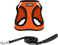 Best Pet Supplies Voyager Step-in Air All Weather Mesh Harness and Reflective Dog 5ft Leash Combo with Neoprene Handle, for Small, Medium and Large Breed Puppies - Orange/Black Trim, X-Large