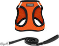 Best Pet Supplies Voyager Step-in Air All Weather Mesh Harness and Reflective Dog 5ft Leash Combo with Neoprene Handle, for Small, Medium and Large Breed Puppies - Orange/Black Trim, Medium