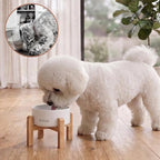 6" Elevated Ceramic Dog Bowl, Anti-Vomiting 23oz for Small Dogs | Premium Food-safe Ceramic with Anti-slip Wood Stand,Dishwasher Safe,Ergonomic Height Relieves Neck Strain,White
