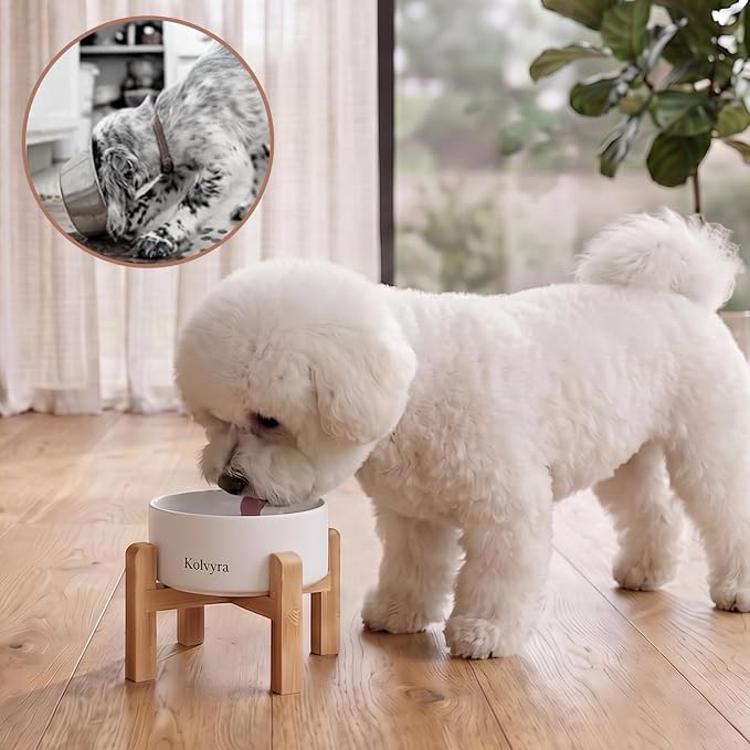 6" Elevated Ceramic Dog Bowl, Anti-Vomiting 23oz for Small Dogs | Premium Food-safe Ceramic with Anti-slip Wood Stand,Dishwasher Safe,Ergonomic Height Relieves Neck Strain,White