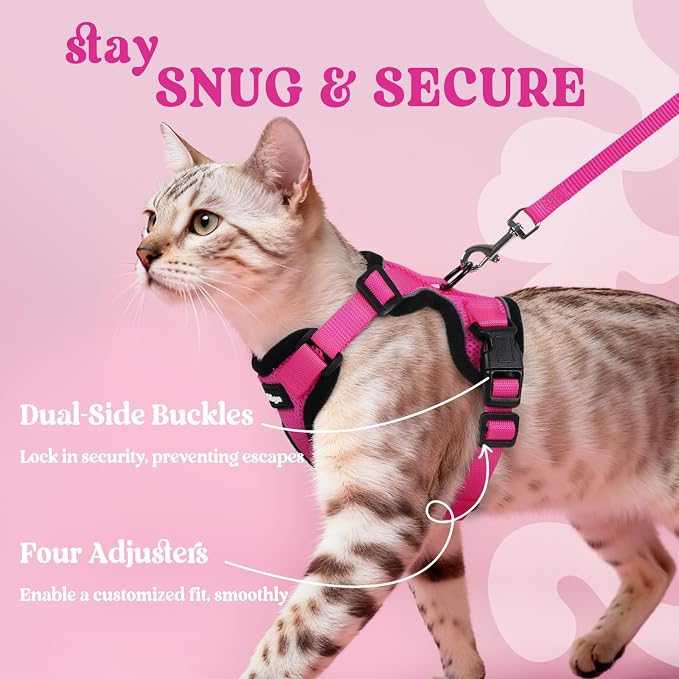 rabbitgoo Cat Harness and Leash Set, Escape Proof Vest, Rose Red | Soft Breathable Mesh, Easy Adjustable Fit, Snap Buckles, Sturdy Clip, Reflective Strips, for Average Cats Walks, S