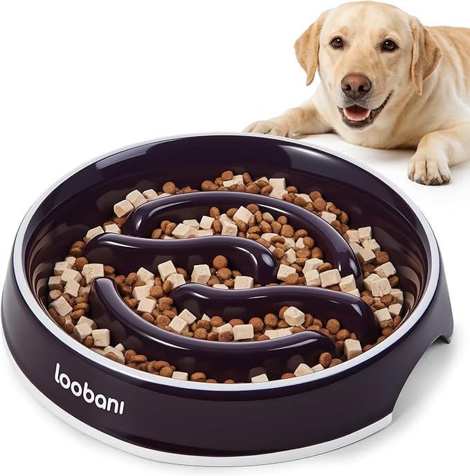 LOOBANI 3.5 Cups Ceramic Slow Feeder Dog Bowls Large Dogs with Grip Handles | Heavy Ceramic, Stay in Place, Healthier Eating, Durable & Easy-Clean, Foam-Protected, Perfect for Fast-Eating Large Breeds