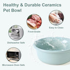 SPUNKYJUNKY Ceramic Elevated Tilted Dog Bowls Bone-Shaped Raised with 2 Height Iron Stand, 6.9'' Dog and Cat Food Water Bowls Set Non-Slip for Small Medium Sized Breed - 20 OZ,Light Green