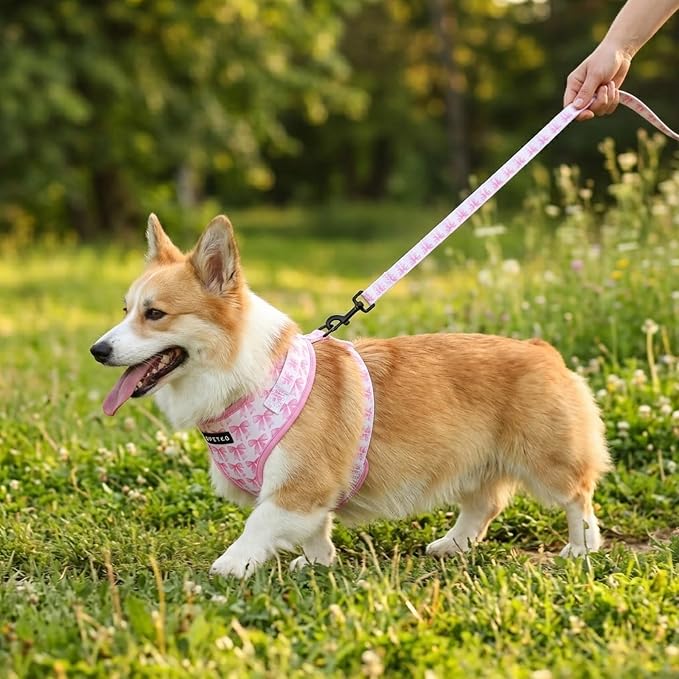 Small Dog Harness and Leash Set of 6, No Pull Soft Lightweight Mesh Puppy Harness, Adjustable Cute Floral Pattern Pet Harness for Small Medium Dogs (Pink Bow, XS)