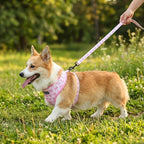 Small Dog Harness and Leash Set of 6, No Pull Soft Lightweight Mesh Puppy Harness, Adjustable Cute Floral Pattern Pet Harness for Small Medium Dogs (Pink Bow, M)