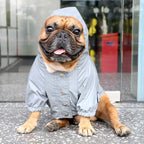 iChoue Dog Cold Weather Coats Reflective Safety Jackets Water Resistant Raincoats All Made Up of High Reflection Fabric Keep Dogs Visible for French English Bulldog Bully Pitbull - Silvery, Small