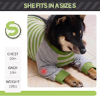 FUAMEY Dog Recovery Sleeve with Elbow Protector, Green Stripes, M | Dogs Shirt Stop Licking Joints, Pet Long Sleeve Suit, Protecting Dog's Front Leg Arm Wounds, Cover Skin Conditions