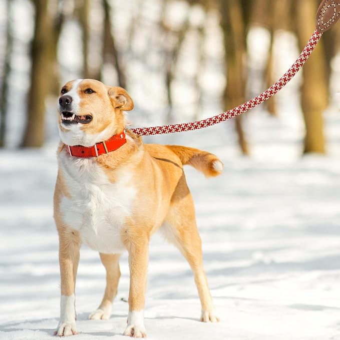 Mile High Life Dog Leash with Genuine Leather Connection, 6 FT/5 FT/4 FT | Rope Leash, Heavy Duty 360° Swivel Metal Clasp, for Small Medium & Large Dogs (Red Khaki, 60 Inch)
