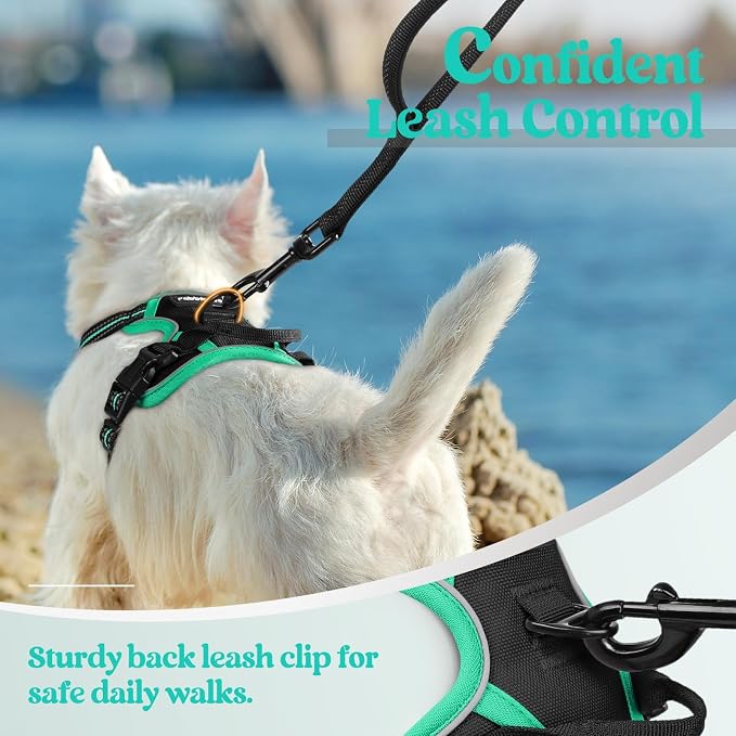 rabbitgoo Dog Harness, No Pull for Small Dogs with 2 Leash Clips, Pet Vest | No Choke with Handle, Adjustable Soft Padded, Reflective, Easy Control for Walking, Black & Turquoise, X-Small
