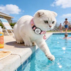 2PCS Breakaway Cat Collars with QR Code Bell Moons Stars Cute Kitty Adjustable Safe Kitten Collars with Pendant Glow in The Dark. Smart ID tag.Real-time scan alerts (Purple&Pink)