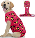 Kuoser Dog Recovery Suit After Surgery, Spay Neuter Surgical Suit for Dogs | Post Surgery Anti-Licking Dog Onesie Protects Wounds and Incisions, E-Collar & Cone Alternative Bodysuit for Female Male Dogs