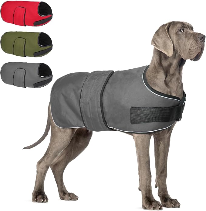 BEAUTYZOO Dog Winter Coat for X-Large Dogs Waterproof, Warm Reflective Great Dane Oxford Canvas Jacket, Fleece Dog Cold Weather Coats Windproof for Female Male Dogs, Grey XL