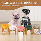 Ceramic Elevated Raised Cat Bowl with Wood Stand No Spill Pet Food Water Feeder Cats Small Dogs