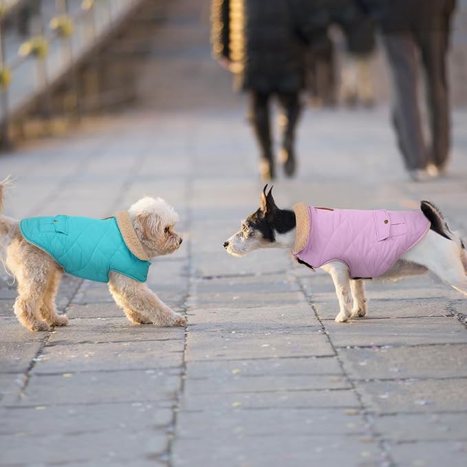 Winter Coat for Small Dogs, Puppy Plaid Jacket, Dog Jacket for Cold Weather, Windproof Warm Garments, Pets Thickened Outfits Indoor Outdoor, Lilac S