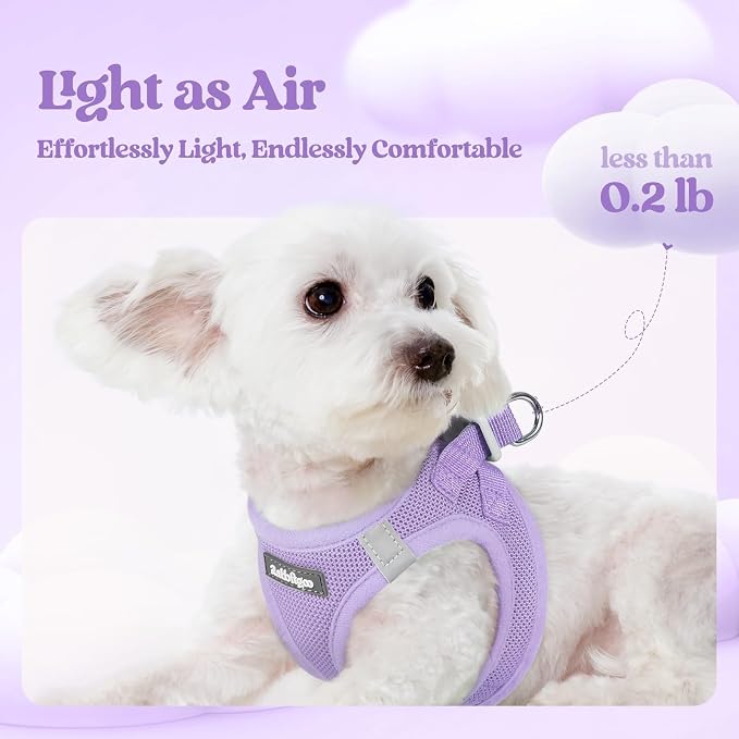 rabbitgoo Dog Harness Small Sized and Leash Set, Step-in Puppy Pet Vest | Light, Soft, Breathable Air Mesh, Easy on and Remove with Hook & Loop, Secure Reflective for Walking, Light Purple XXS
