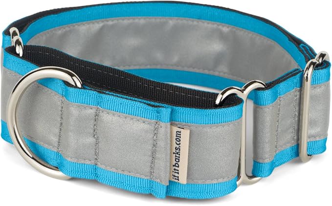 If It Barks - 1.5" Reflective Martingale Collar for Dogs - Adjustable - Made in USA - Strong, Durable, and Comfy - Ideal for Training - Suitable for Most Breeds - Large, Turquoise