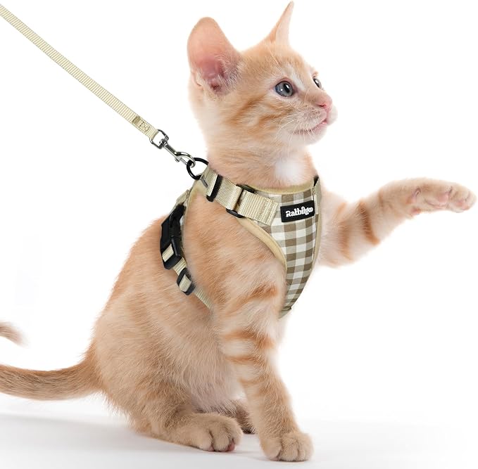 rabbitgoo Cat Harness and Leash Set, Escape Proof Vest, Foamy Coffee | Soft Breathable Mesh, Easy Adjustable Fit, Snap Buckles, Sturdy Clip, Reflective Strips, for Kittens & Small Cats Walks, Xxs