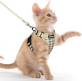 rabbitgoo Cat Harness and Leash Set, Escape Proof Vest, Foamy Coffee | Soft Breathable Mesh, Easy Adjustable Fit, Snap Buckles, Sturdy Clip, Reflective Strips, for Kittens & Small Cats Walks, Xxs