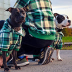 Spark Paws Dog Hoodie – Premium Dog Sweater for Small, Medium, and Large Dogs | Warm Outfits for French Bulldogs, Pitbull, Puppy, Winter Jacket Alternative - Green Plaid - 5XL